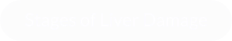 Stages of Liver Damage