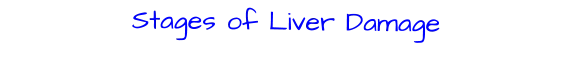 Stages of Liver Damage