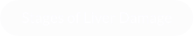 Stages of Liver Damage