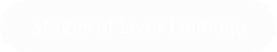 Stages of Liver Damage