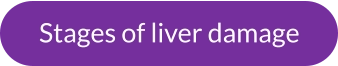 Stages of liver damage