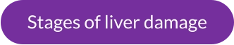 Stages of liver damage