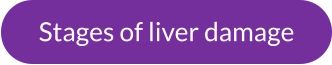 Stages of liver damage